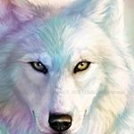 Profile Picture of Michael Lundquist (@michael.lundquist.94) on Instagram