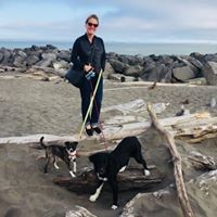 Profile Picture of Sarah Seibel (@sarah-seibel-1) on Quora