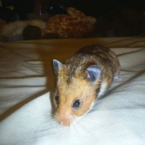 Karlie Cooper - Myspace Profile Picture of Karlie Cooper (@328434269) on Myspace