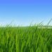 Profile Picture of Hemal Kothari (@hemal.kothari.142) on Facebook