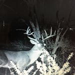 Profile Picture of Jonathan Barger (@jonnyboy78023) on Instagram