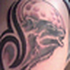 Profile Picture of Steven  Ivey (@Destiny is Enevitable) on Flickr