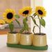 Profile Picture of Beth Schechter (@cupcakemuse) on Pinterest