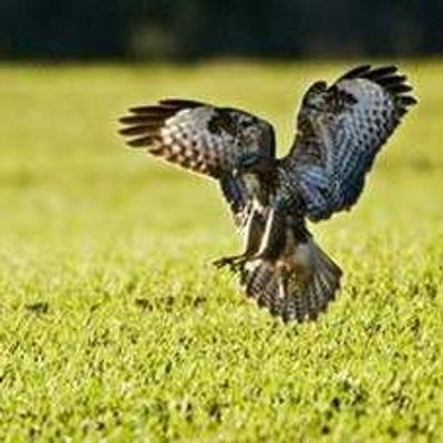 Profile Picture of Kenneth Barnett (@KennethBarnett3) on Twitter