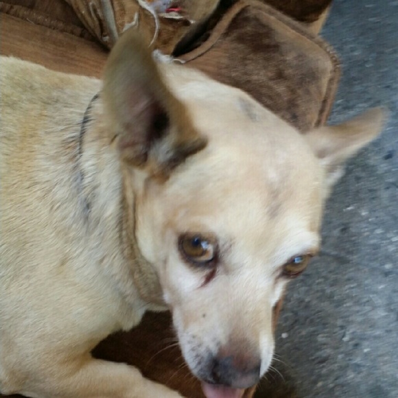 Profile Picture of Ruby Esparza (@skyblu8) on Poshmark