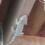 Profile Picture of Charoon Thammata (@charoonthammata) on Instagram