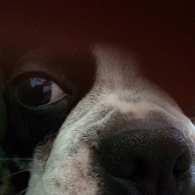 Profile Picture of Mary Bales (@kywomanreturns) on Twitter