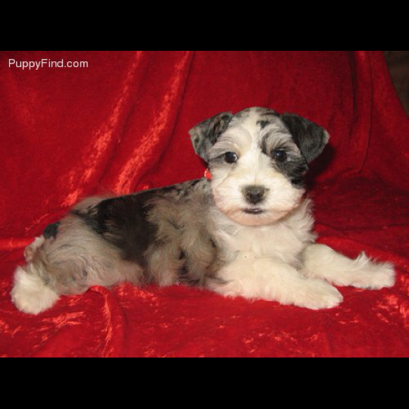 Profile Picture of Torrie Gilleland (@territory2) on Poshmark