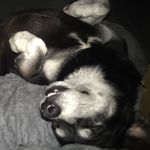 Profile Picture of Brandon Willoughby (@willoughby5568) on Instagram