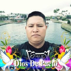Profile Picture of David Cinto (@davidcinto1) on Tiktok
