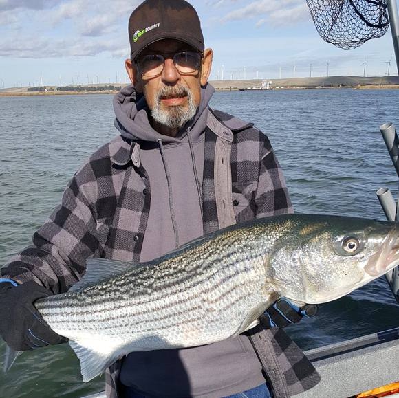 Profile Picture of David Sharp (@davidsharp1610) on Poshmark