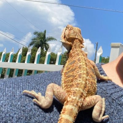 Michael Pizarro - Twitter Profile Picture of Michael Pizarro (@Michael39842010) on Twitter