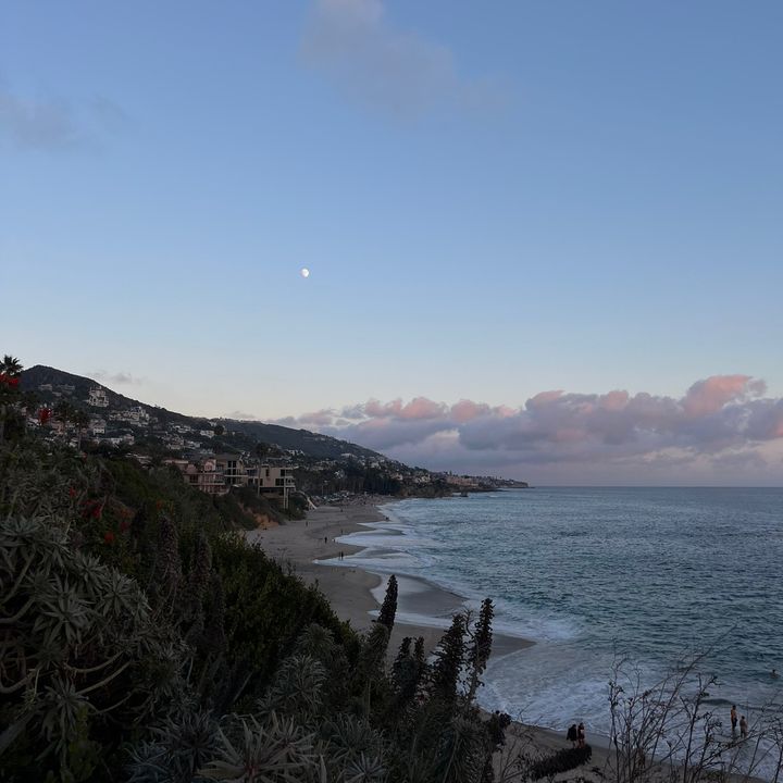 Profile Picture of 🌷laila🌷 (@laila.elz) on Tiktok