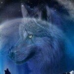 Profile Picture of Jean louis Carl Hans (@hanslouis) on Instagram