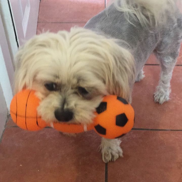 Profile Picture of user8306692084889 (@@nancybarnes0) on Tiktok