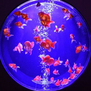 Profile Picture of Casie Lindemuth🍓 (@casienotcasey) on Instagram