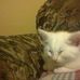 Profile Picture of Jordan Weis (@Jordan-Weis) on Facebook