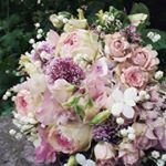 Profile Picture of Blumen Knibbe (@blumen.knibbe) on Instagram