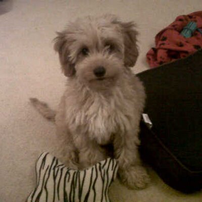 Profile Picture of Stephen Hobday (@Steve101178) on Twitter