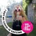 Profile Picture of Lori Batchelor (@Lori-Batchelor) on Facebook