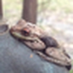 Profile Picture of Carol.legan.1 (@carol.legan.1) on Flickr