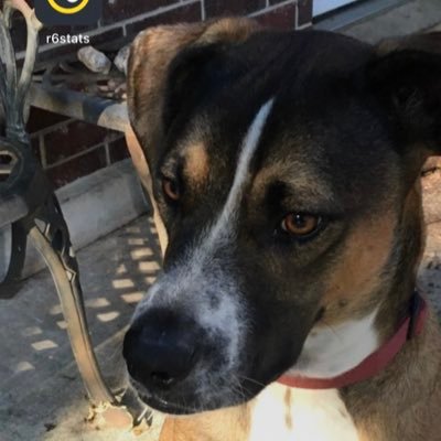 Profile Picture of Aiden Haney (@AidenHaneyDuh) on Twitter