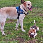 Profile Picture of Michela Fallacara (@mi_fa81) on Instagram