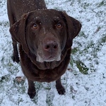 Profile Picture of Ava Ross (@ava371) on Flickr