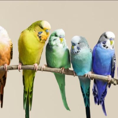 Profile Picture of Dylan Mathis (@dylanmathis8) on Twitter