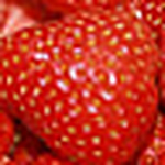 Profile Picture of Murt Murphy (@wexfordstrawberries) on Flickr