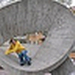 Profile Picture of Sofia Hedlund-storkamp (@storkamp) on Flickr