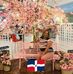 Profile Picture of Carmen Mena Rosario (@carmen.menarosario) on Facebook