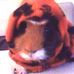 Profile Picture of Joshua Budge (Joshua Budge) (@joshua.budge.1) on Facebook