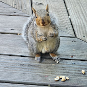 Profile Picture of Olivia Alonso (@oliviaalonso9272) on Youtube