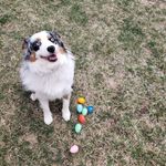 Profile Picture of Brian Fegley (@bfeg1288) on Instagram