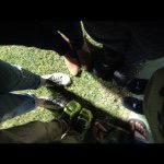 Profile Picture of •{ MIRANDA-BATEMAN }• (@_mirabatman_) on Instagram