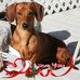 Profile Picture of Beate Moore (@beate.moore.96) on Facebook