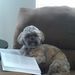 Profile Picture of James Stephen (@jp5384) on Pinterest