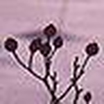 Profile Picture of Garrett Nelson (@garrettnelson) on Flickr