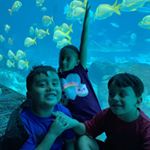 Profile Picture of Filiberto Martinez (@phill.martinez10) on Instagram