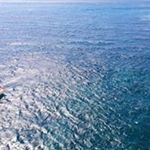 Profile Picture of Felix Galindo Gutierrez (@felixgalindogu) on Instagram