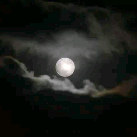 Profile Picture of stacy_bone (@stacy_bone) on Tiktok