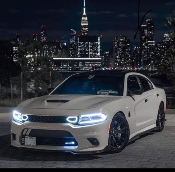 Benito Oxlaj - Poshmark Profile Picture of Benito Oxlaj (@oxlajandriu) on Poshmark