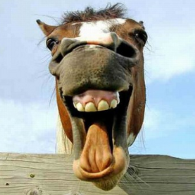 Rupert Brown - Twitter Profile Picture of Rupert Brown (@RupertBrown4) on Twitter