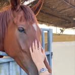 Profile Picture of Hala Alkahli (@Hala-Alkahli) on Facebook