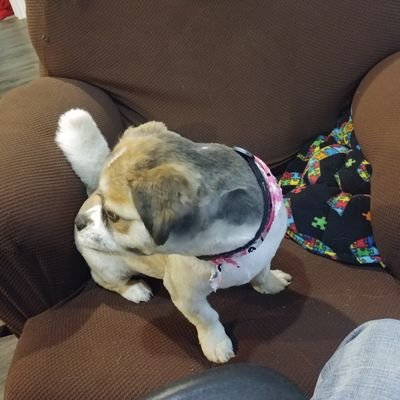 Profile Picture of Marc Laviolette (@LavioletteMarc) on Twitter