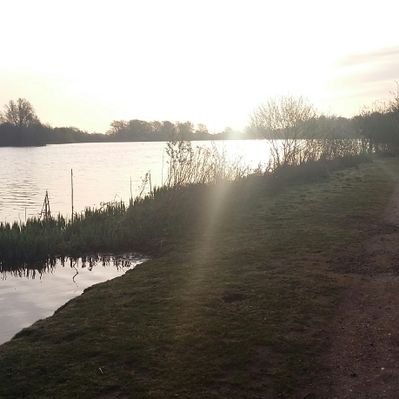 Profile Picture of Cal (@CalEagle_EAG) on Twitter