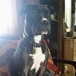 Profile Picture of Michael Ahlberg (@everhart8759) on Instagram