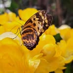 Profile Picture of Daniel Adolfsson (@Daniel-Adolfsson) on Facebook