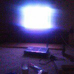 Profile Picture of Joseph Early (@squirrelyearly) on Instagram